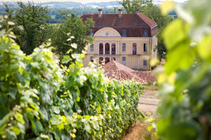 Château Montus - photo 1