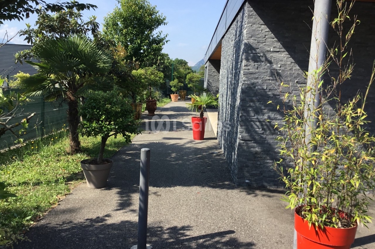 Allée extérieure bordée de plantes en pots, longeant un bâtiment aux murs en pierre grise sous un ciel dégagé.