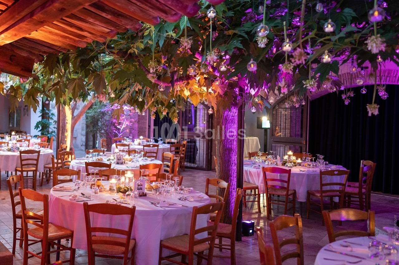 Salle de réception décorée avec des tables rondes dressées, éclairage tamisé et végétation suspendue.