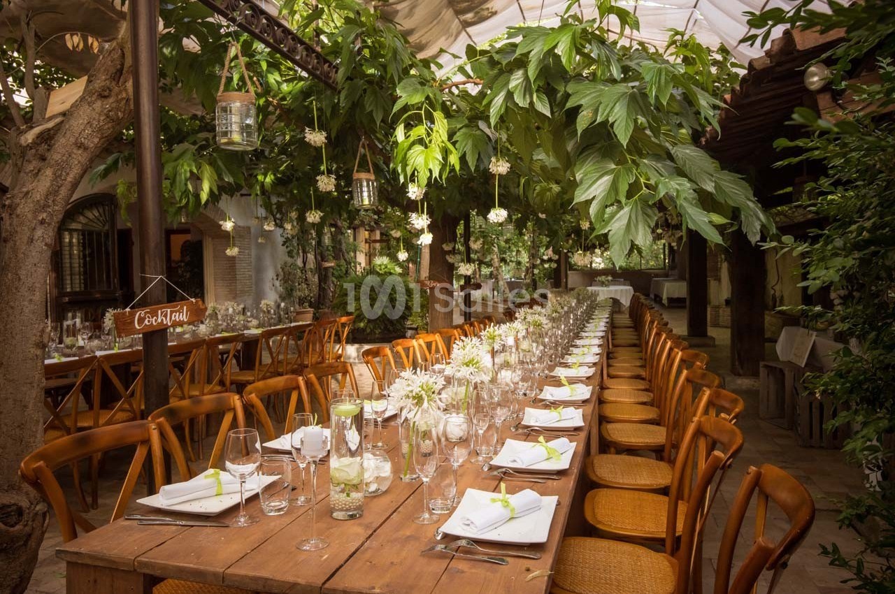 Grande table en bois dressée pour un repas, entourée de chaises, sous une pergola ornée de plantes et de lumières suspendues.