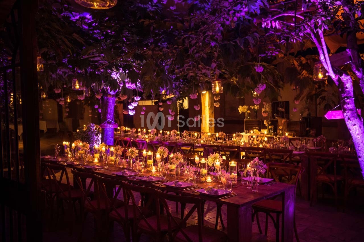 Tables décorées avec des fleurs et des bougies sous des arbres illuminés par des lumières violettes dans une ambiance…