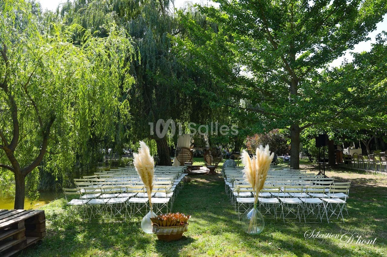 Chaises blanches alignées en extérieur sous des arbres, décorées avec des bouquets de pampas, pour un événement.