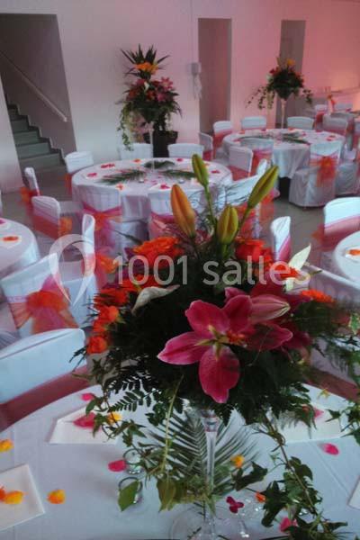Domaine De Liary - galerie - photo 7