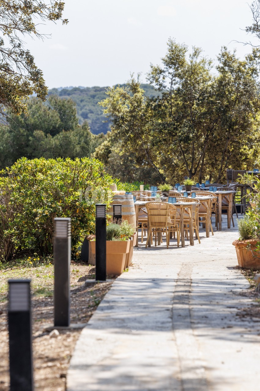 Chemin pavé menant à une terrasse extérieure avec des tables en bois, entourée de végétation et d'arbres.