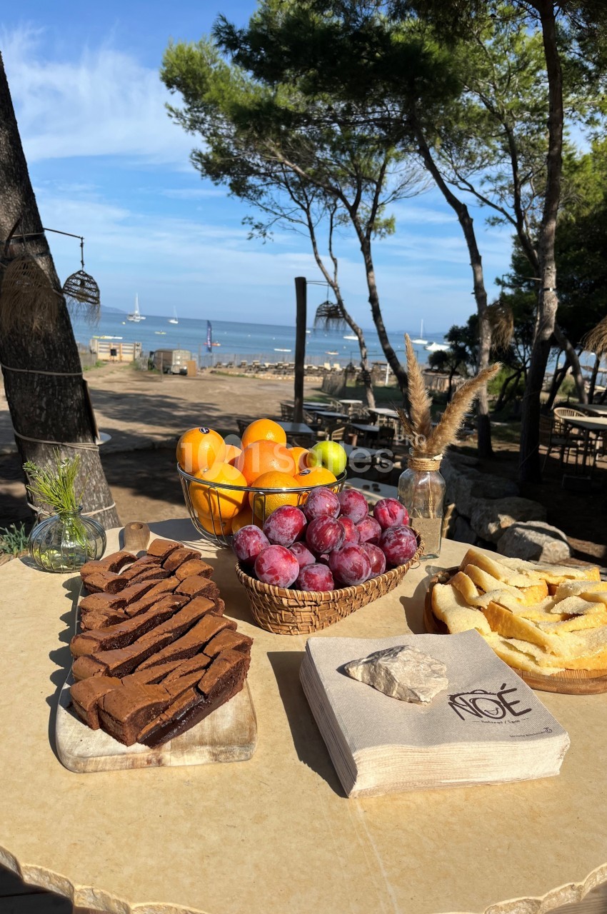 Table avec gâteau au chocolat, fruits frais et pain grillé, en bord de mer sous des pins par temps ensoleillé.