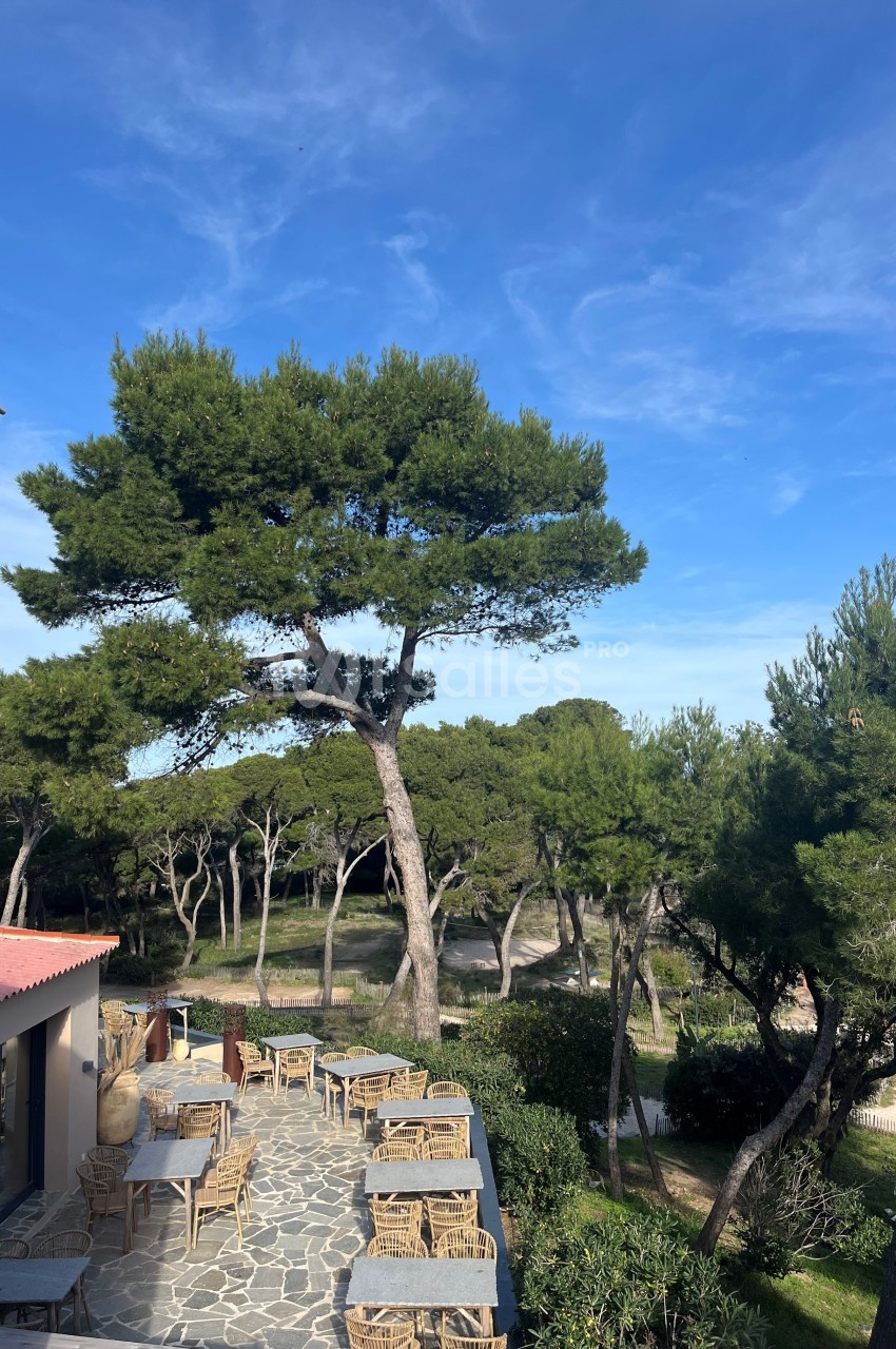 Terrasse en pierre avec des tables et chaises en bois, entourée de pins sous un ciel bleu clair.