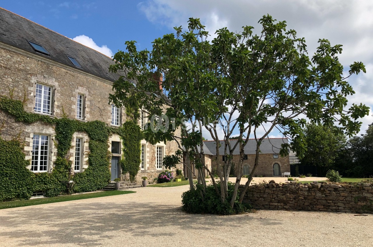 Façade en pierre d'une maison ancienne avec des fenêtres à volets, un arbre au premier plan et une cour gravillonnée.