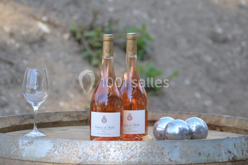 Château De Bellet - galerie - photo 17