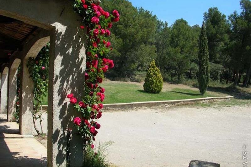 Domaine De Roquerousse - photo 5