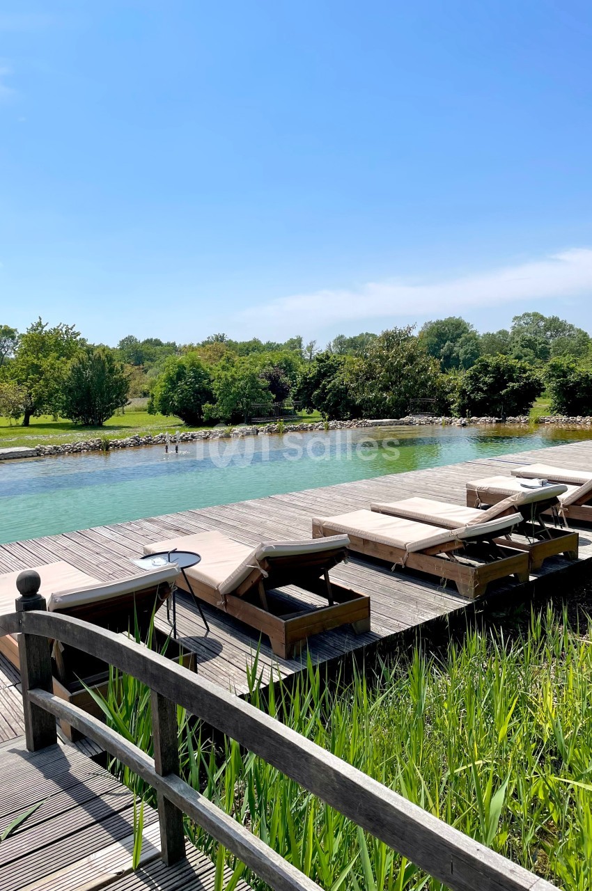 Chaises longues en bois alignées sur une terrasse près d'une piscine naturelle entourée de verdure.