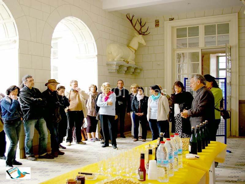 Château De Mesnières En Bray - galerie - photo 14