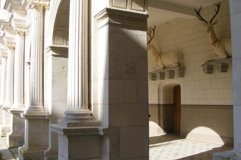 Château De Mesnières En Bray - photo 1