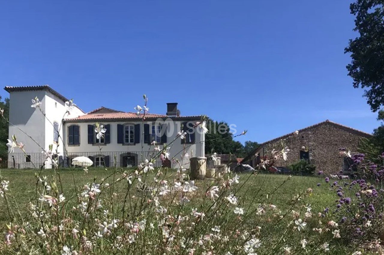 Grande maison blanche avec volets noirs entourée de verdure, vue à travers des fleurs sauvages au premier plan.