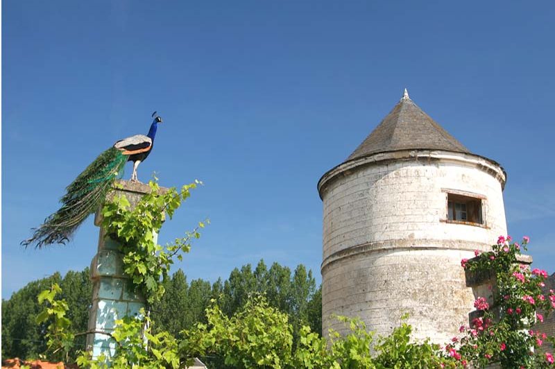 Abbaye De Valloires - photo 5