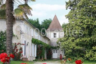 Château De Puyrigaud - photo 4