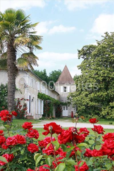 Château De Puyrigaud - galerie - photo 4