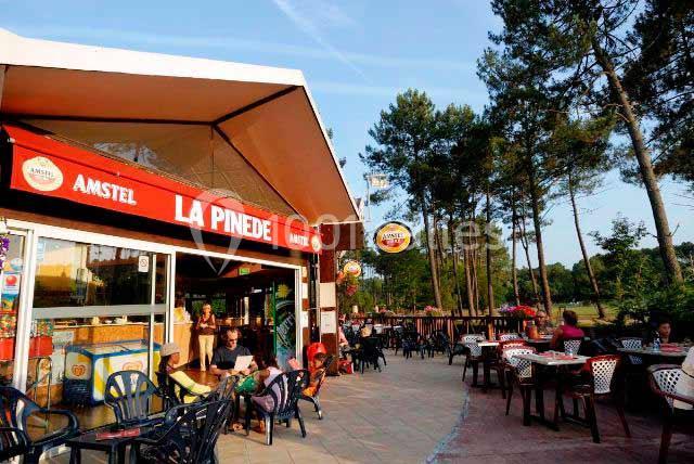 Les Villages Sous Les Pins - galerie - photo 8