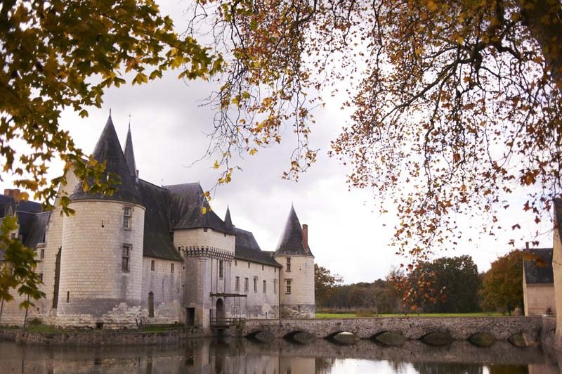 Château Du Plessis Bourre - photo 3