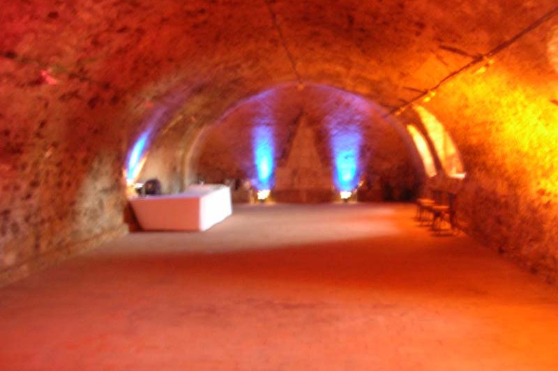 Château Du Plessis Bourre - photo 3