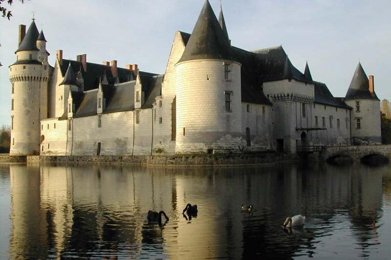 Château Du Plessis Bourre - photo 4