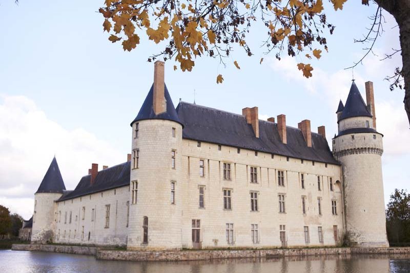 Château Du Plessis Bourre - photo 2