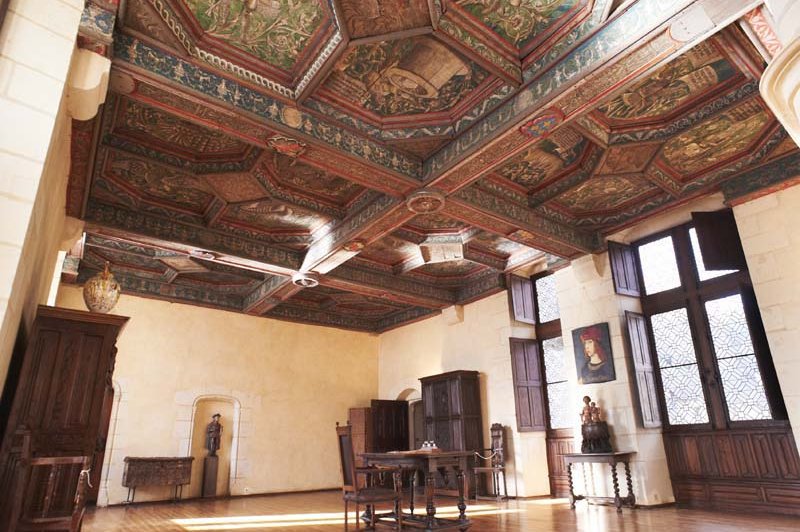 Château Du Plessis Bourre - photo 3