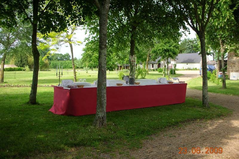 Château Du Plessis Bourre - photo 5
