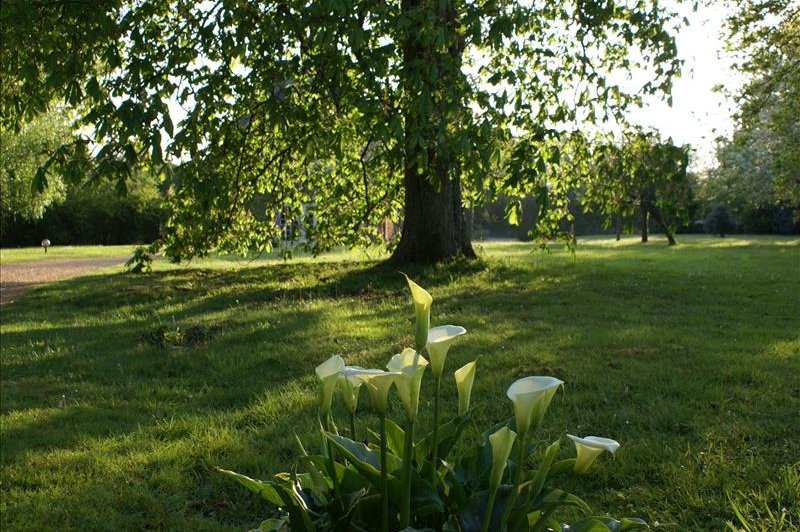 Domaine De La Vallée - photo 2