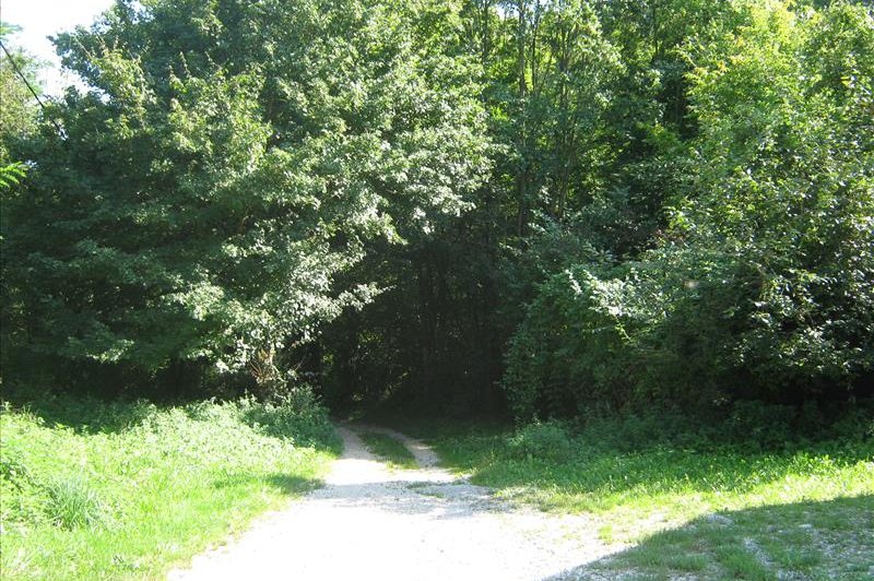 Espace Pressinois - photo 1