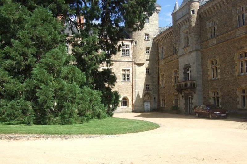 Château de Busset - photo 5