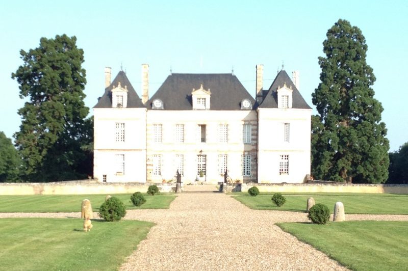 Château De Villemesle - photo 1