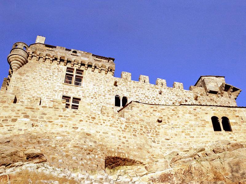 Château de Dio - galerie - photo 5