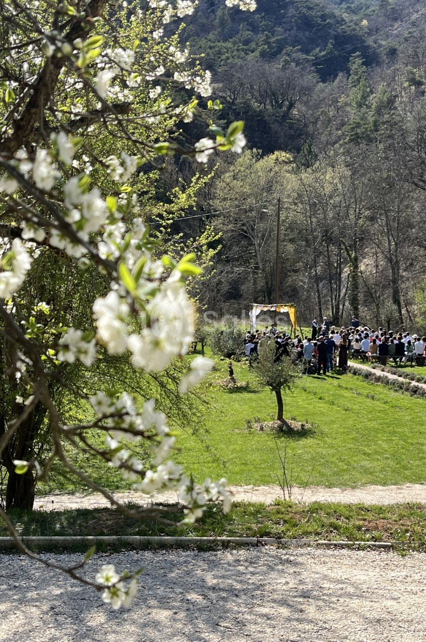 Groupe de personnes rassemblées dans un parc verdoyant, avec des arbres en fleurs au premier plan.