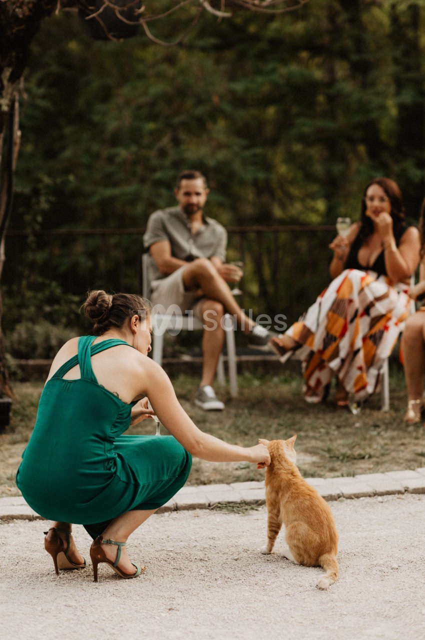 Une femme en robe verte caresse un chat roux, avec des personnes assises en arrière-plan dans un jardin.