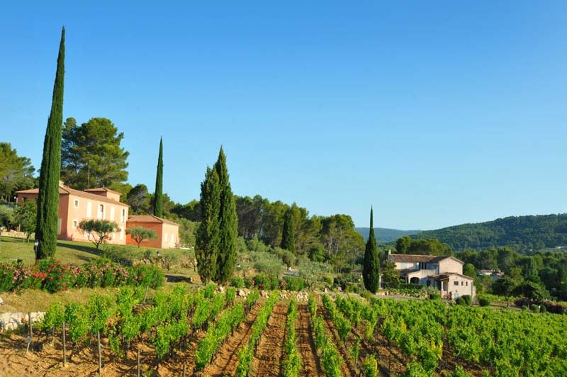 Domaine Rabiega - photo 2