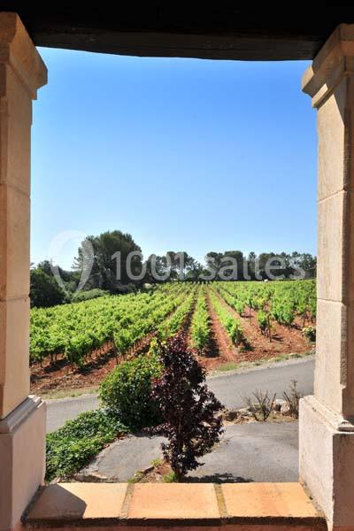 Domaine Rabiega - galerie - photo 11