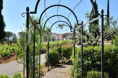 Domaine Rabiega - photo 5