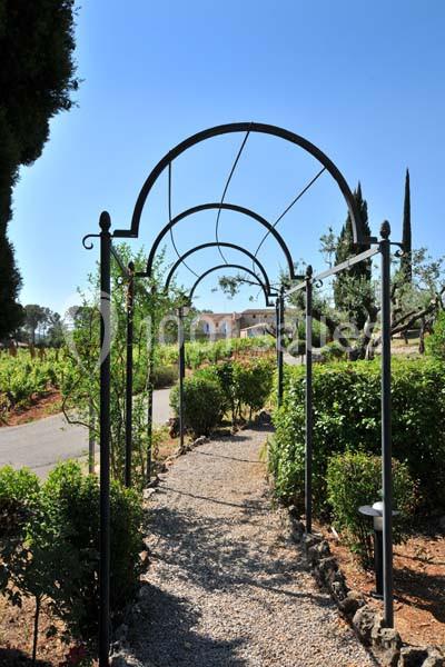 Domaine Rabiega - galerie - photo 5