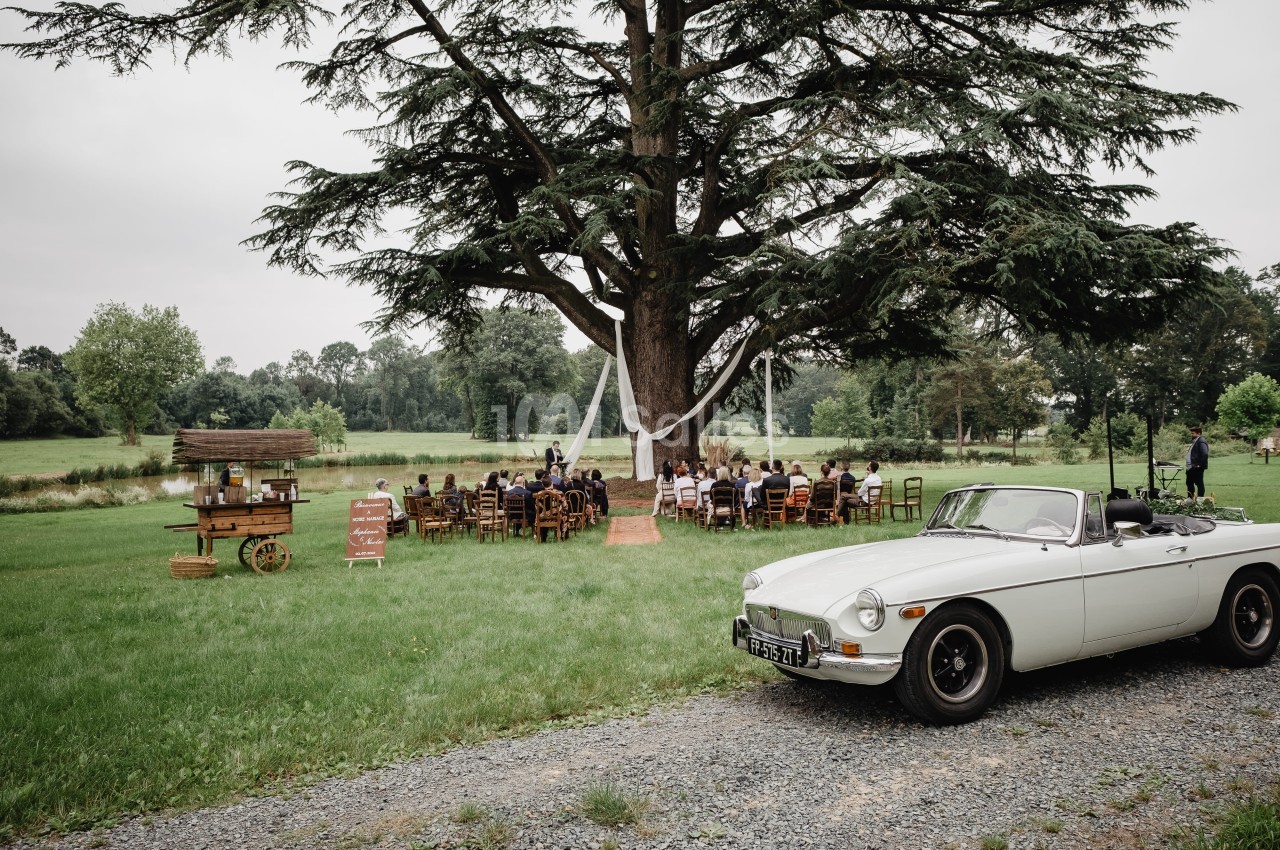 Cérémonie en plein air sous un grand arbre, avec des invités assis et une voiture ancienne blanche au premier plan.