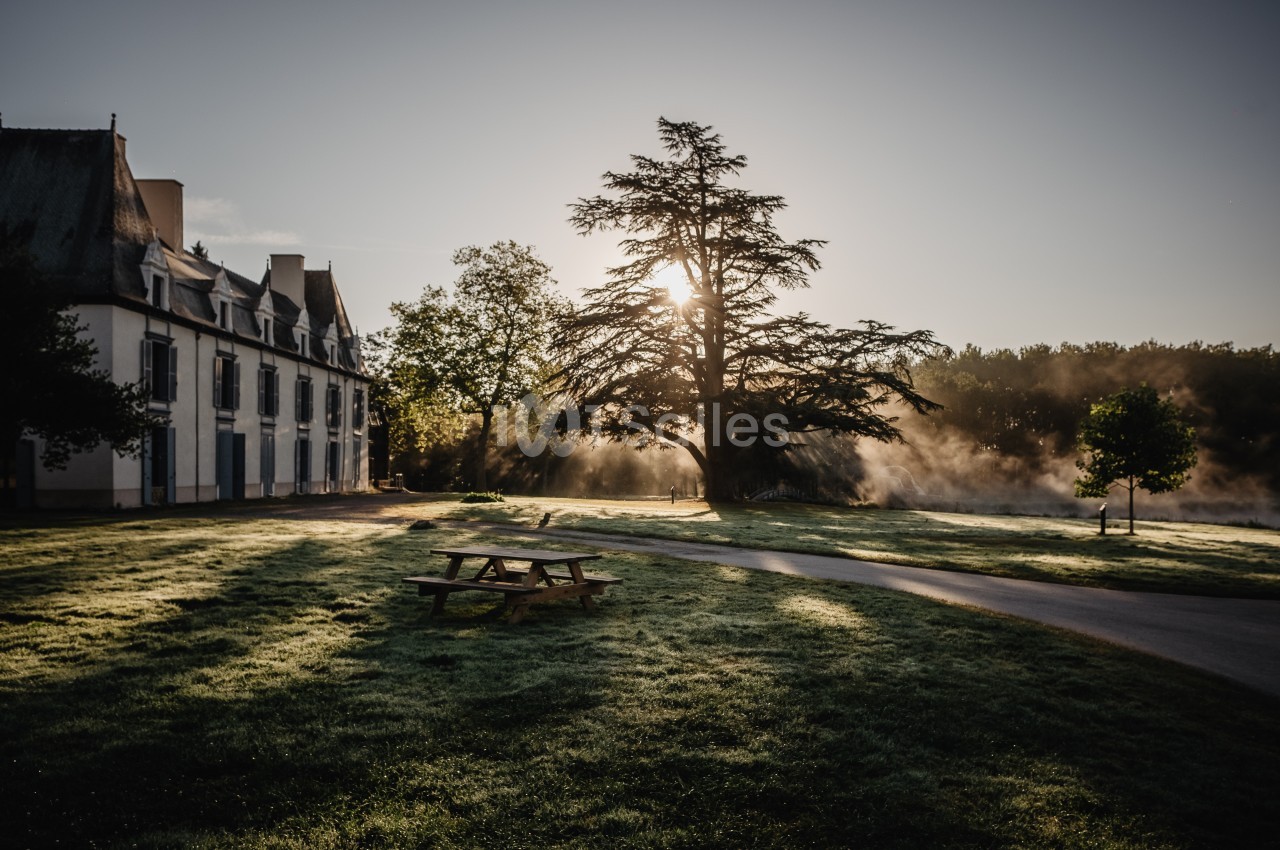 Pelouse au lever du soleil avec un grand arbre, une maison en pierre et des bancs de pique-nique dans un cadre paisible.
