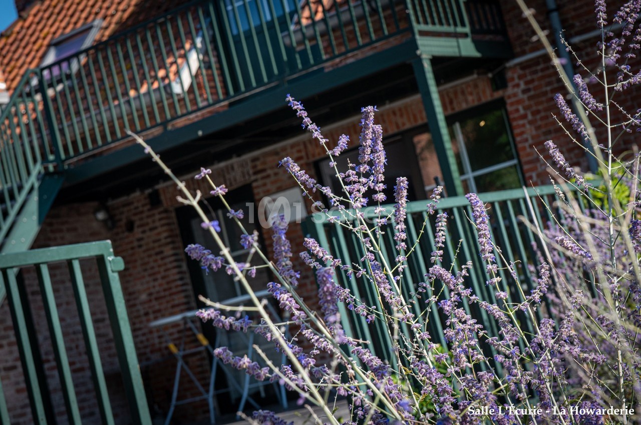 Fleurs violettes en premier plan devant un bâtiment en briques rouges avec balustrades vertes.