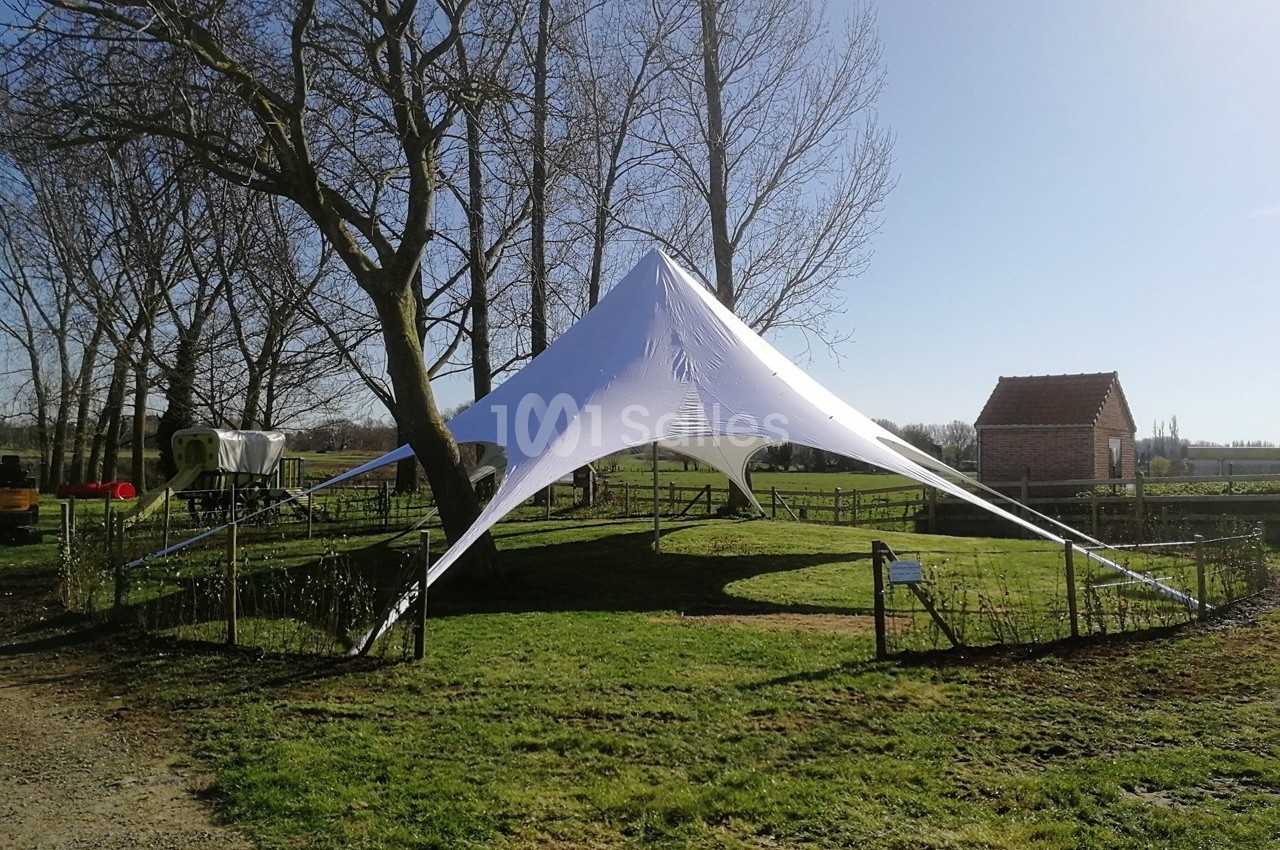 Tente étoile blanche installée sur une pelouse entourée d'arbres et de clôtures dans un cadre rural.