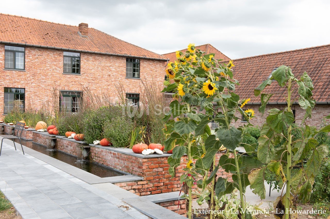 Jardin avec tournesols, citrouilles et bassin, devant des bâtiments en briques rouges sous un ciel nuageux.