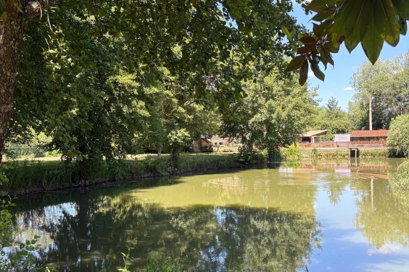 Le Vieux Moulin - photo 3