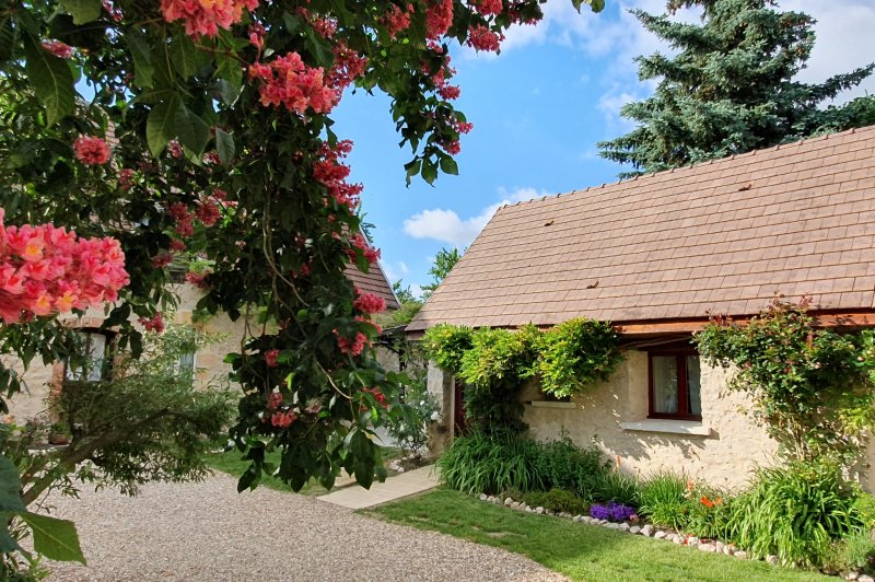 Domaine des Medards - photo 5
