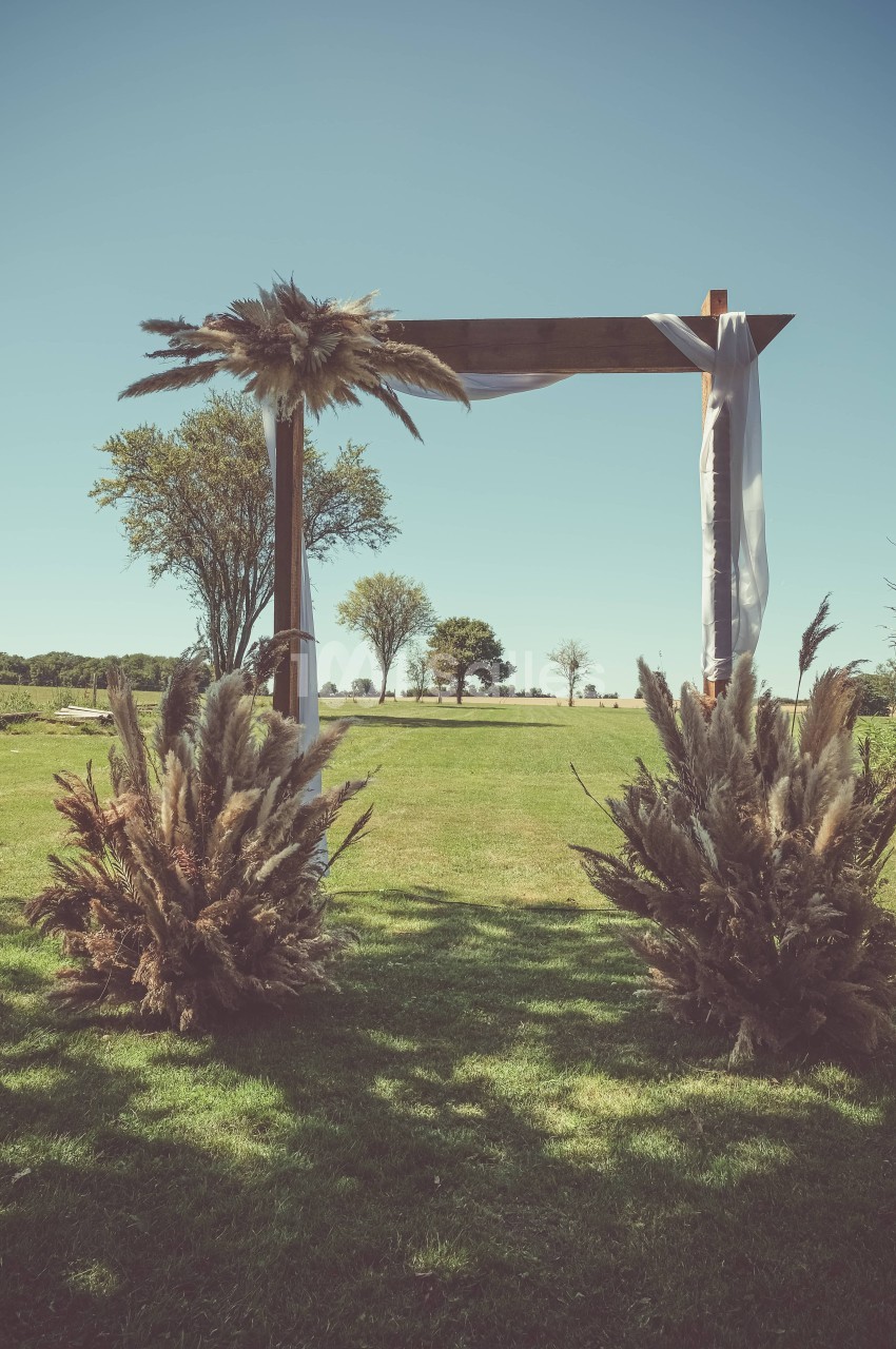 Arche en bois décorée de tissus blancs et de pampas, installée sur une pelouse avec des arbres en arrière-plan.