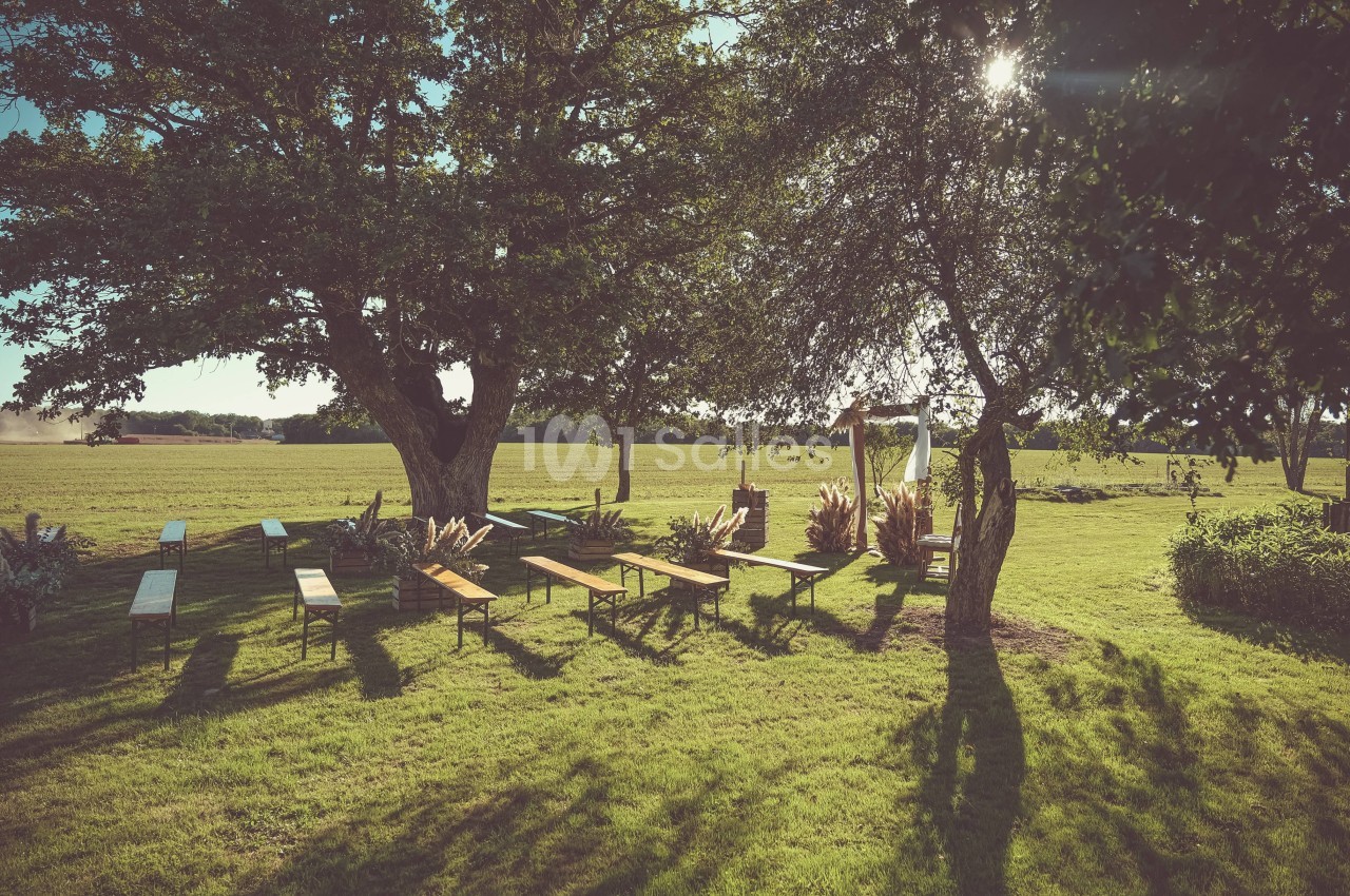 Chaises et bancs disposés en extérieur sous des arbres, sur une pelouse ensoleillée, avec un champ en arrière-plan.