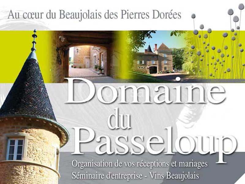 Montage d'images du Domaine du Passeloup avec bâtiments en pierre, tour et espaces verts, texte descriptif inclus.