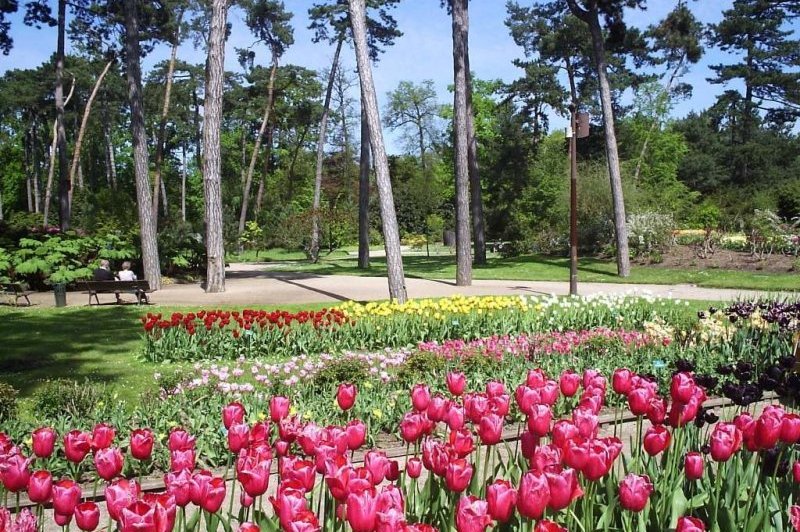 Les Magnolias - photo 1
