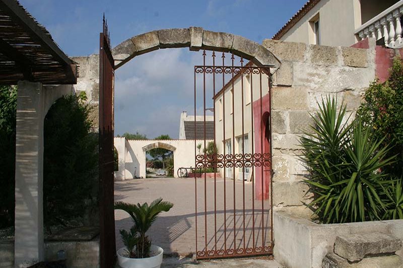 Domaine De La Tour - photo 4